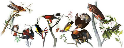 Logo de Jean-Jacques Audubon