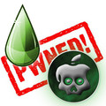 Jailbreak de l’iOS 4.1 avec Limera1n, Greenpois0n ou PwnageTool: l’embarras du choix!