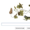Google doodle pour le 366Ã¨me anniversaire de Maria Sibylla Merian