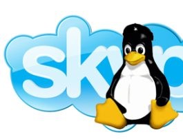 Skype 5.3 pour Windows et Linux